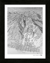 Aspen Sketch