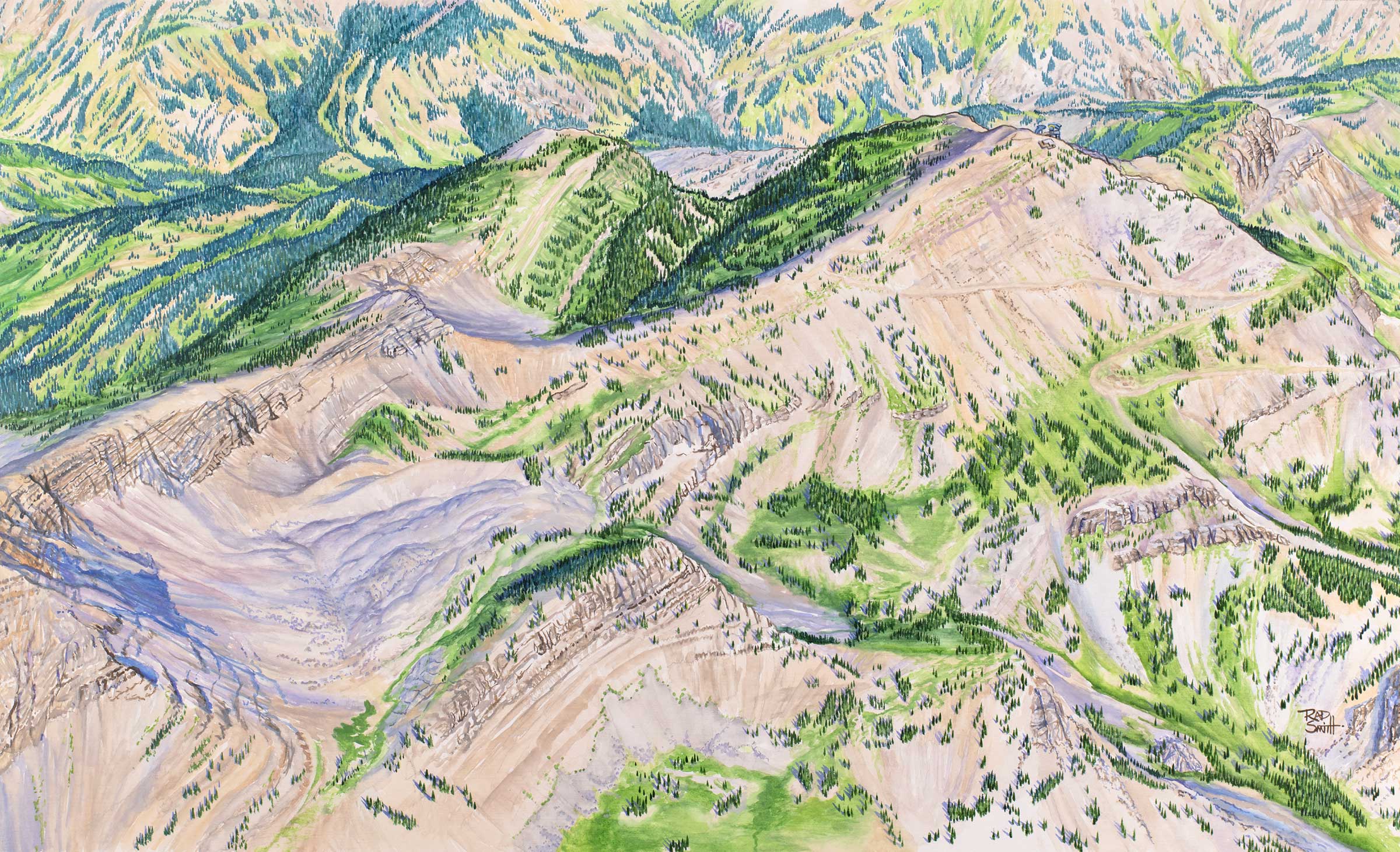 Jackson Hole Upper Mountain Summer