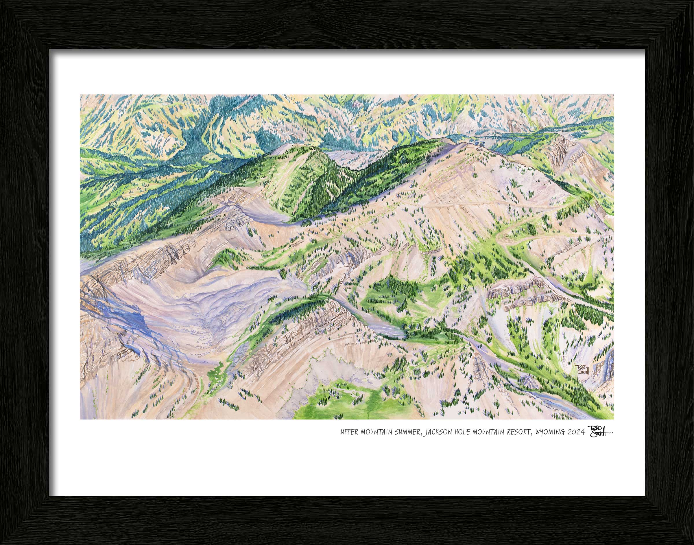 Jackson Hole Upper Mountain Summer