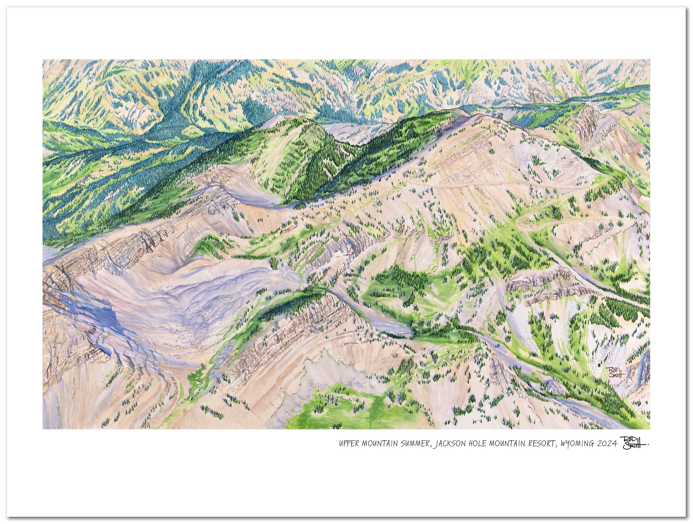 Jackson Hole Upper Mountain Summer